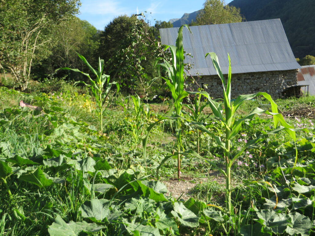 Photo de permaculture et écoconstruction - Sadhana ASBL Yoga & Massage